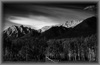 Bow Valley Bw